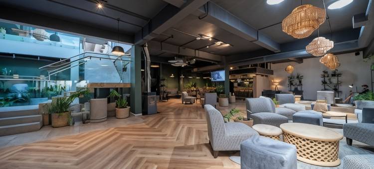 克鲁夫街酒店(Kloof Street Hotel - Lion Roars Hotels & Lodges)图片