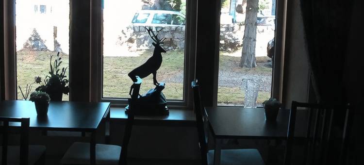 阿望黛尔之家旅馆(Avondale House)图片