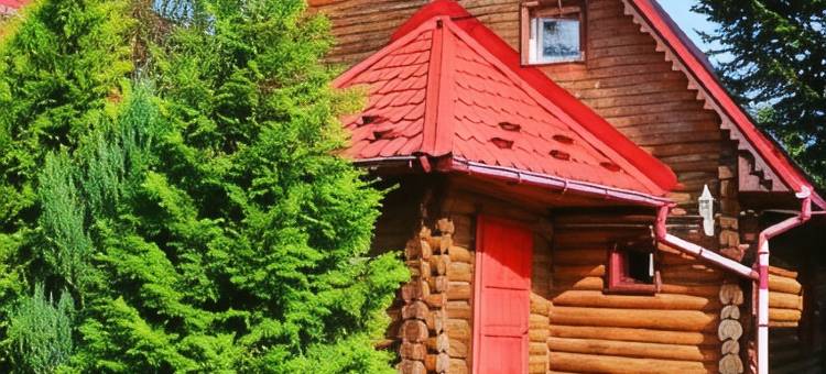 泰利默克招待所(Teremok Guest House)图片