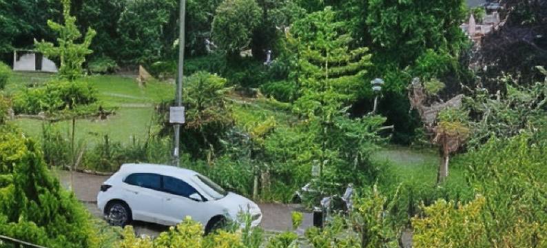 雷文斯伍德民宿(The Ravenswood B&B)图片