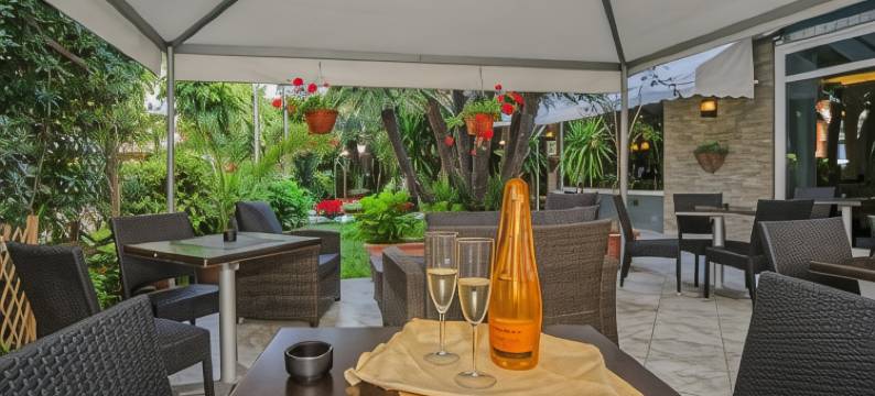 斯堪的纳维亚酒店(Hotel Scandinavia)图片