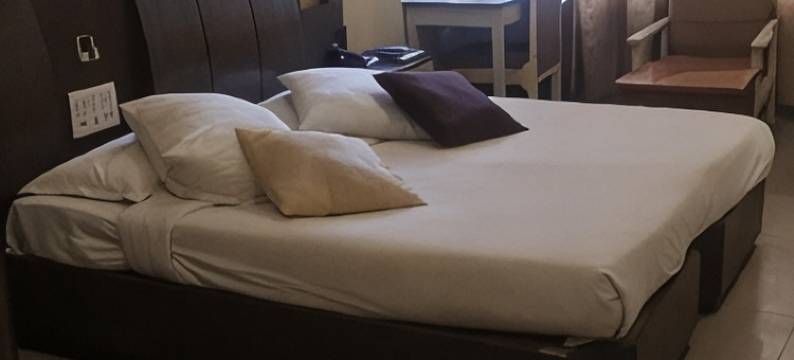 仙人摄政酒店(Hotel Rishi Regency)图片