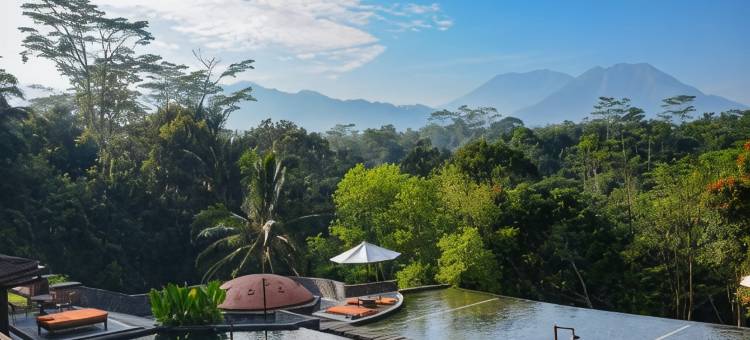 梅萨斯蒂拉水疗度假村(MesaStila Resort and Spa)图片