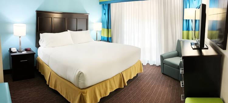 智选假日套房酒店盖恩斯维尔(Holiday Inn Express & Suites Gainesville)图片