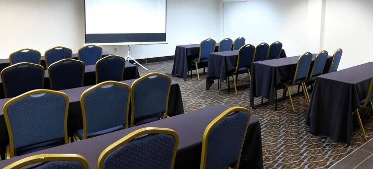 布莱斯伍德智选假日酒店&套房(Holiday Inn Express & Suites Blythewood)图片