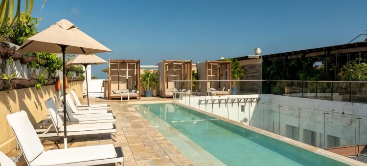 卡塔赫纳纳卡尔酒店-希尔顿格芮精选(Nacar Hotel Cartagena, Curio Collection by Hilton)图片