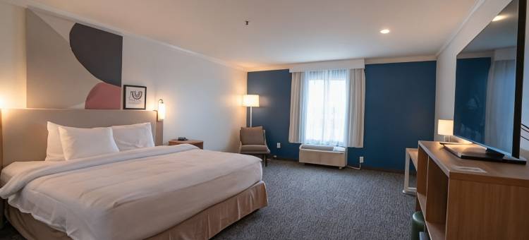 希尔顿布兰登 Spark 酒店(Spark by Hilton Brandon)图片