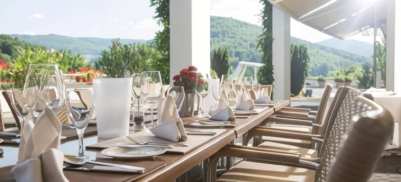 黑森林全景酒店(Schwarzwald Panorama)图片