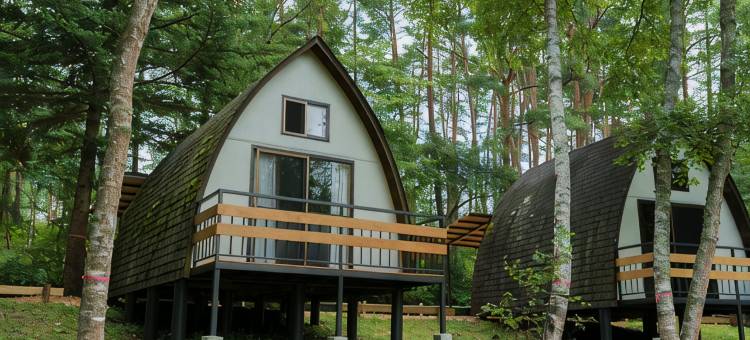 Tiny Garden Tateshina- Camp, Lodge & Cabins -图片