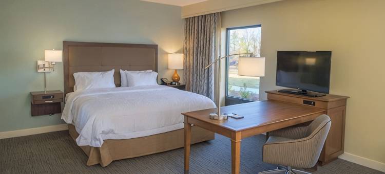 布拉塞尔顿欢朋酒店(Hampton Inn & Suites Braselton)图片