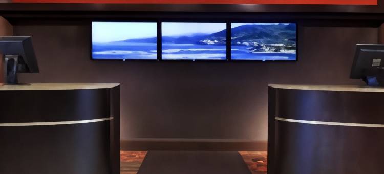 DFW机场喜来登酒店(Sheraton DFW Airport Hotel)图片