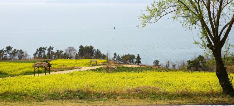Namhae Amir House Pension图片