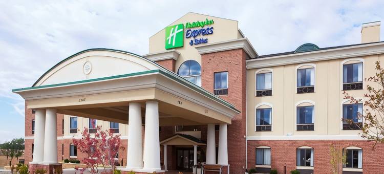 智选假日套房酒店特洛伊(Holiday Inn Express & Suites DETROIT NORTH - TROY by IHG)图片