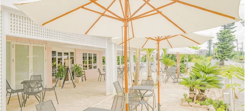 海风珊瑚度假酒店(Hotel Seabreeze Coral)图片