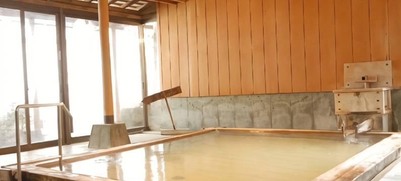 伊豆长冈温泉 日本作家武者小路实笃之宿 泉庄(Saneatu No Yado Izumiso)图片