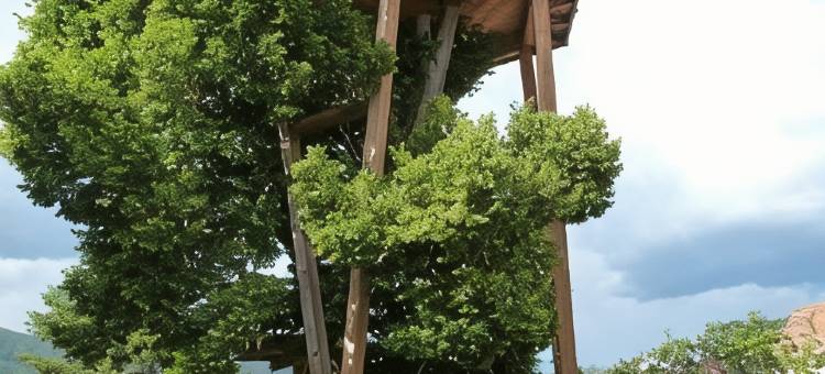 普雷赫特尔霍夫酒店(Hotel Prechtlhof)图片