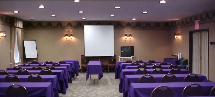 智选假日套房酒店布卢明顿市中心 - 正常(Holiday Inn Express & Suites BLOOMINGTON - NORMAL by IHG)图片