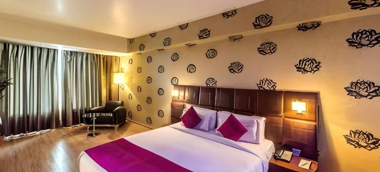巴特那珍品酒店(Hotel Patliputra Exotica)图片