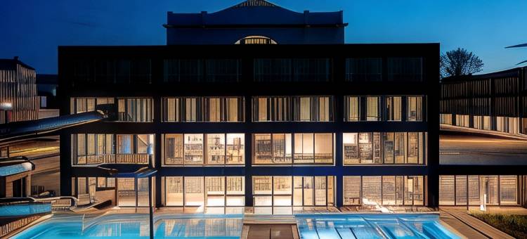 瑟尔梅别墅南锡(Villa Thermae Nancy)图片