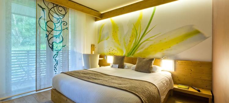 萨沃伊拉克罗伊克斯水疗酒店(La Croix de Savoie & Spa)图片