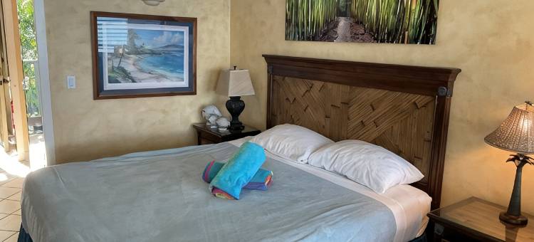 臻品#201, 纳皮利湾海滨! 顶层转角房, 公寓, 特惠!(Napili Bay Perfection #201, Top Floor, Corner Unit, On The Beach!  Specials!)图片