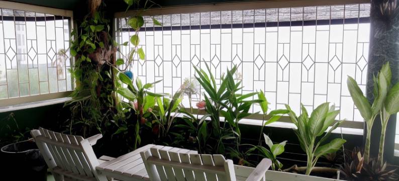 山打根背包客青年旅馆(Sandakan Backpackers Hostel)图片