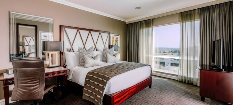 InterContinental Hotels 约翰内斯堡ORTAMBO机场(InterContinental Hotels Johannesburg O.R.Tambo Airport)图片