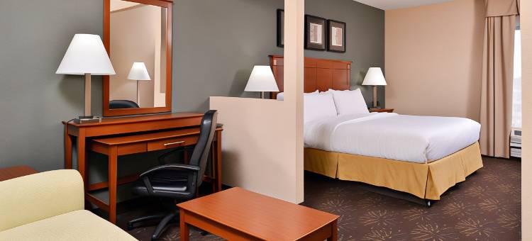 西切斯特智选假日套房酒店(Holiday Inn Express & Suites West Chester)图片