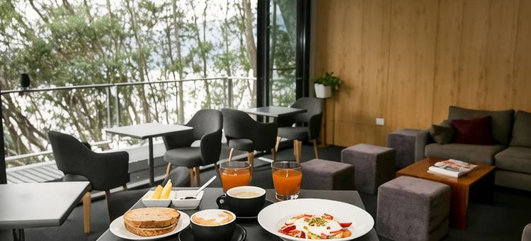 戴安娜酒店(Diana Alpine Lodge)图片