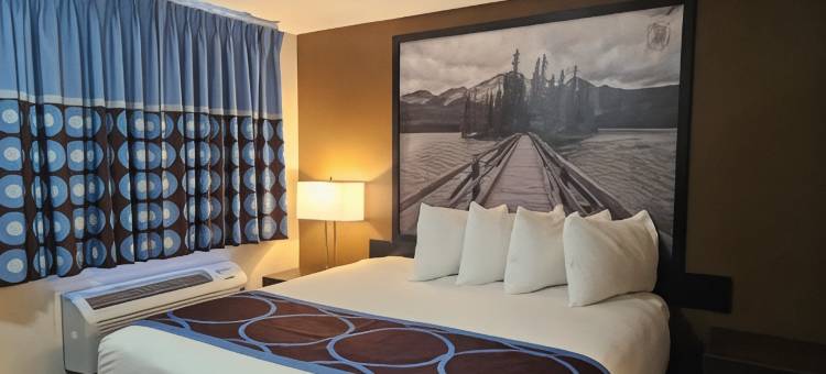 斯普鲁斯格罗夫温德姆速8酒店(Super 8 by Wyndham Spruce Grove)图片