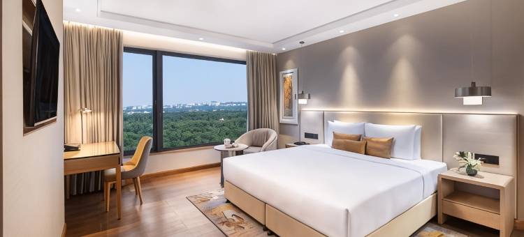 Vivanta布巴内斯瓦尔DN广场(Vivanta Bhubaneswar DN Square)图片