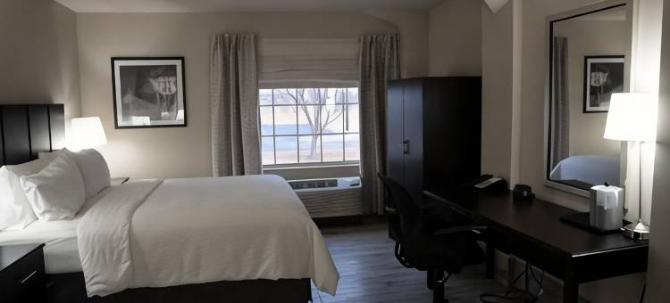 威德福智选假日酒店(Lucille's Hotel)图片