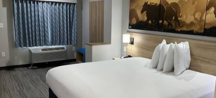 亨博尔-休斯顿洲际机场戴斯酒店(Days Inn by Wyndham Humble/Houston InterContinental Airport)图片