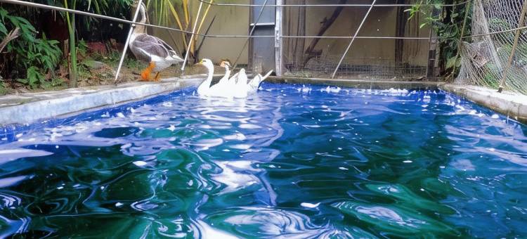 迪格哈罗伊酒店(Le Roi Digha)图片