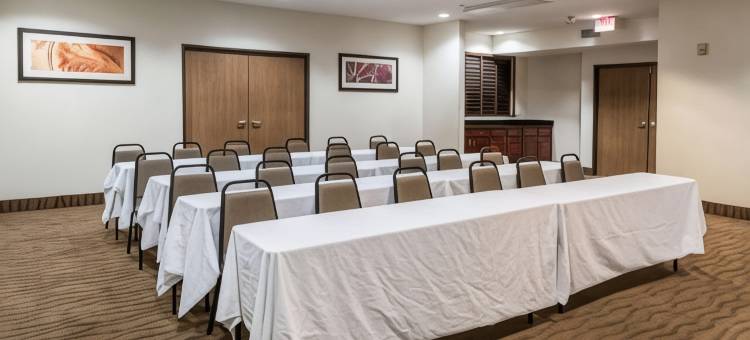 伯利森-沃斯堡品质酒店(Quality Suites, Ft Worth Burleson)图片