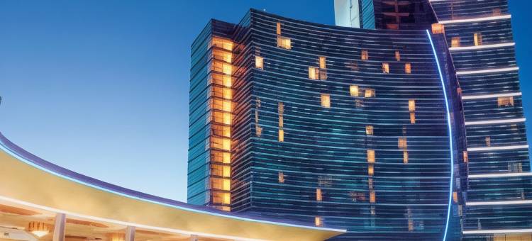 蓝筹娱乐场酒店及水疗中心(Blue Chip Casino Hotel and Spa)图片