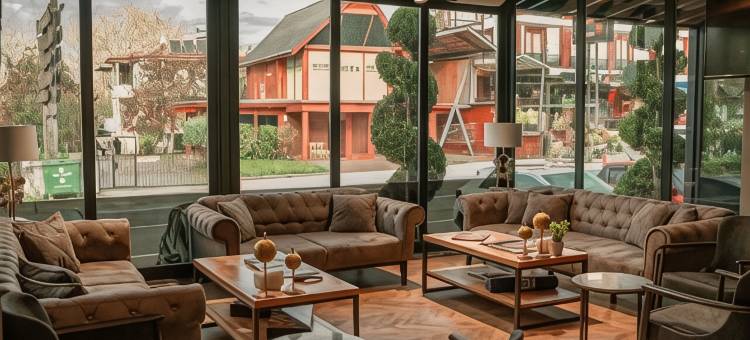 萨潘卡阿尔发套房 Spa 酒店(Alfa Suites & Spa)图片