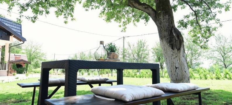 绿色菩提树(Apartments Green Linden)图片