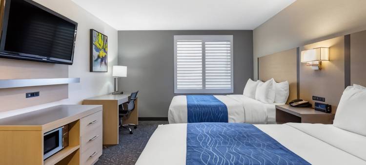 圣迭戈米拉玛舒适酒店(Comfort Inn San Diego Miramar)图片