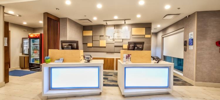 法默斯布兰奇智选假日套房酒店(Holiday Inn Express & Suites Dallas NW - Farmers Branch)图片