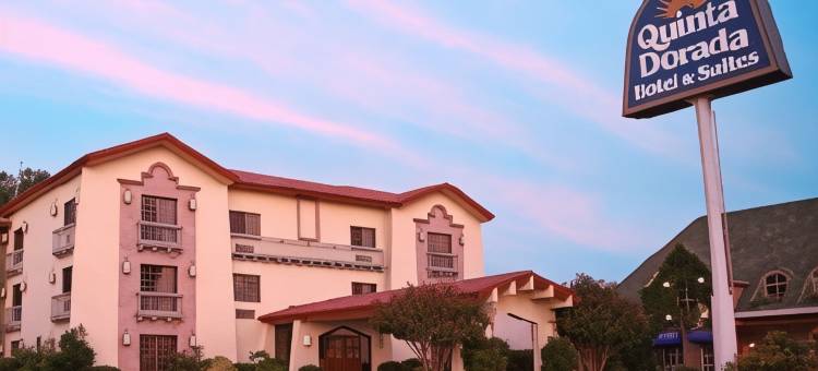 昆塔多拉达酒店&套房(Quinta Dorada Hotel & Suites)图片