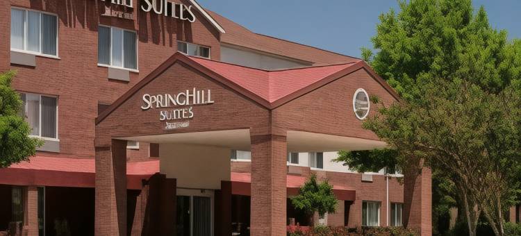 达拉斯北阿林顿万豪SpringHill酒店(SpringHill Suites Dallas Arlington North)图片