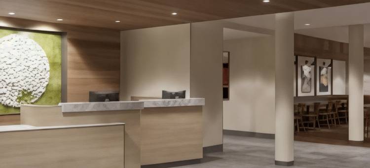 印第安纳波利斯富兰克林万豪万枫套房酒店(Fairfield Inn & Suites Franklin)图片