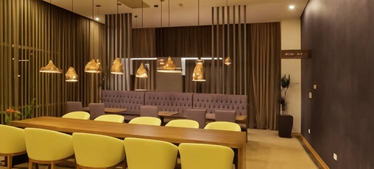 希尔顿花园旅馆-科贾埃利瑟克尔皮纳(Hilton Garden Inn Kocaeli Sekerpinar)图片