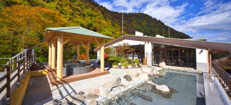 箱根汤本温泉天成园酒店(Tenseien)图片