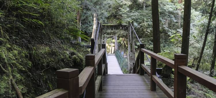 F-商旅(嘉义馆)图片