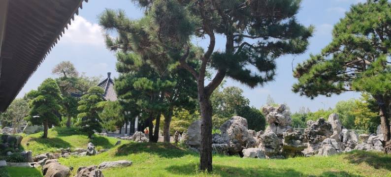 九紫苑度假庄园度假别墅(空港大道分店)图片