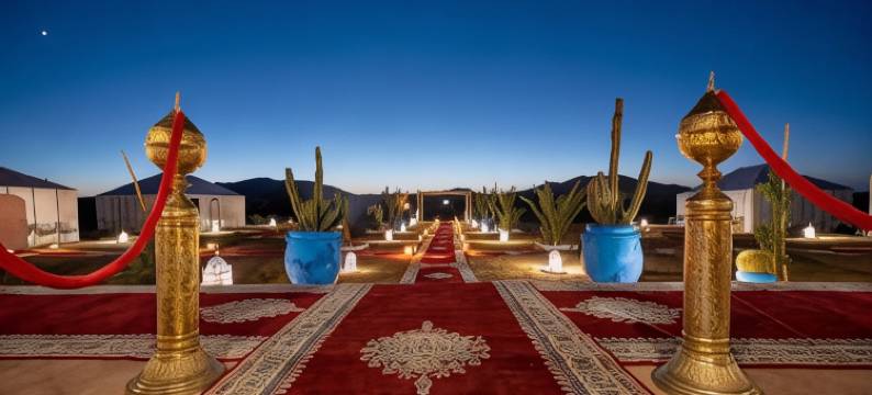 Amskou营地(Amskou Camp)图片