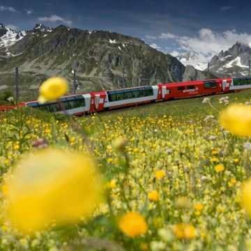 法国+意大利+瑞士11日跟团游