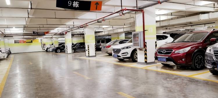 西双版纳吉象谷酒店(告庄星光夜市店)图片